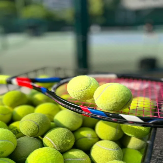郑钦文辛辛那提硬地签表揭晓体能分配与赛程考验全面解析